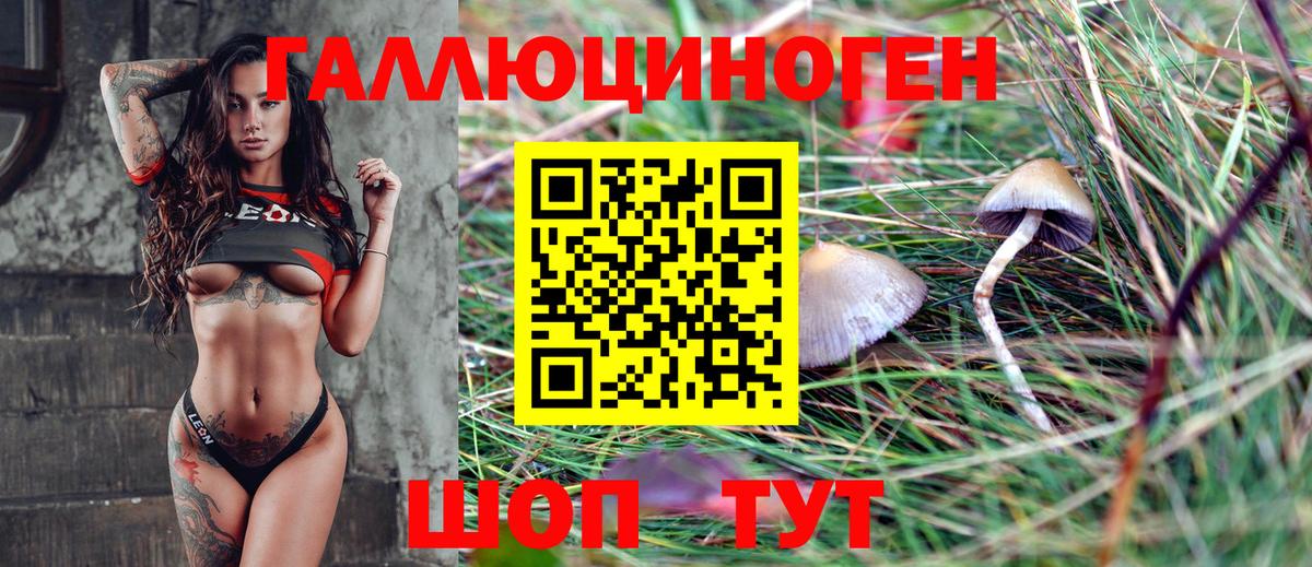 Биробиджан  Галлюциногенные грибы MAGIC MUSHROOMS  Вход с VPN 