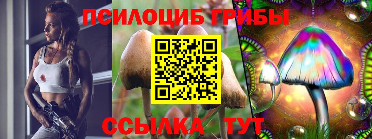 Псилоцибиновые грибы мухоморы Биробиджан